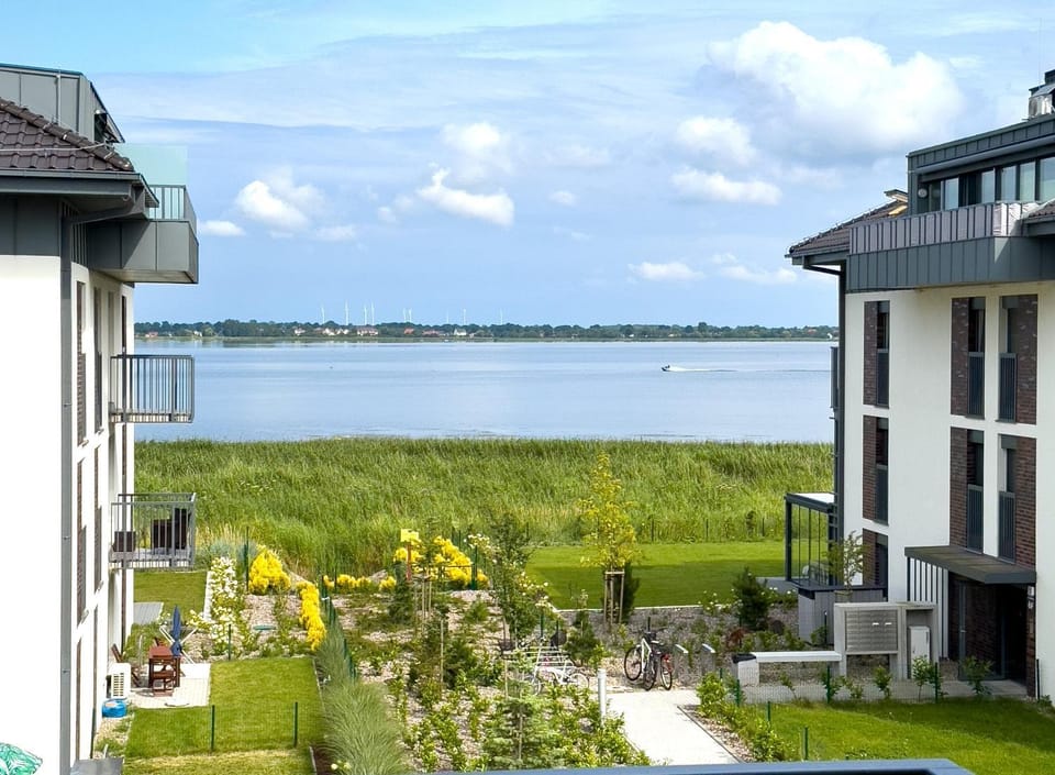Lake view