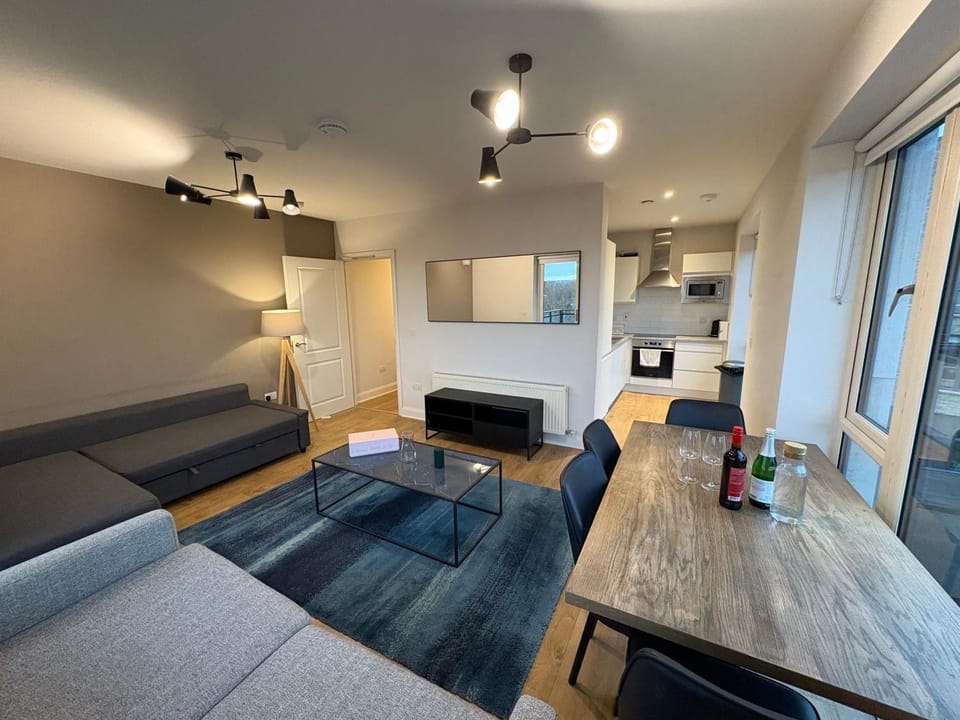 Luxurious Entire Guest House with Grand Living Space and Panoramic Balcony Views Vacation rental in Dublin