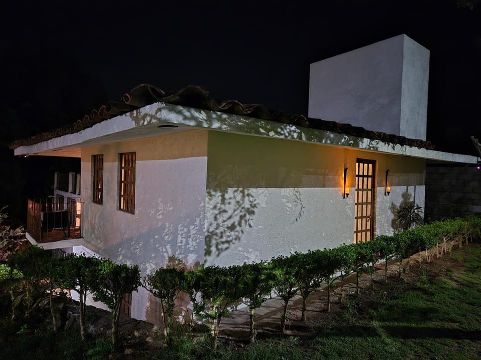 Property building, Night, Garden view