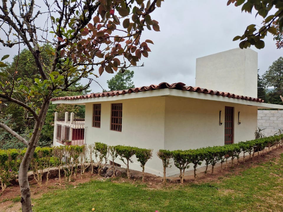 Property building, Garden, Garden view