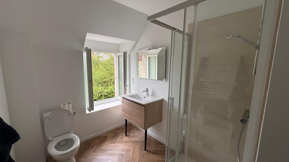 Shower, Toilet, Bathroom, towels