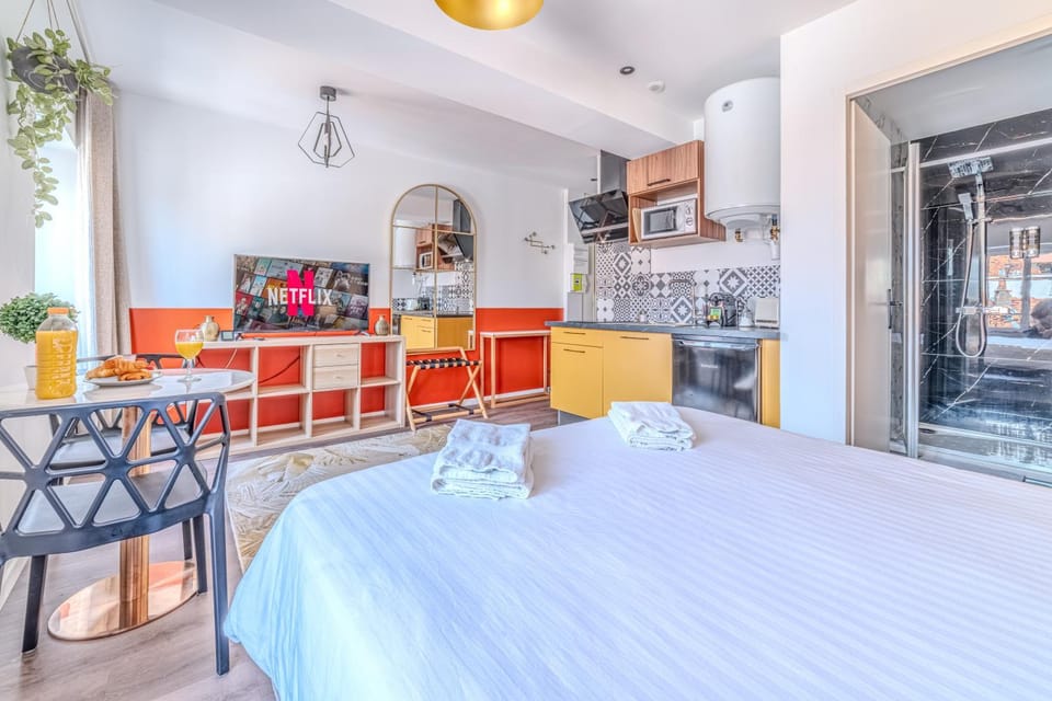 Lys Roanne centre-ville - Clim & Parking Apartment in Auvergne-Rhône-Alpes