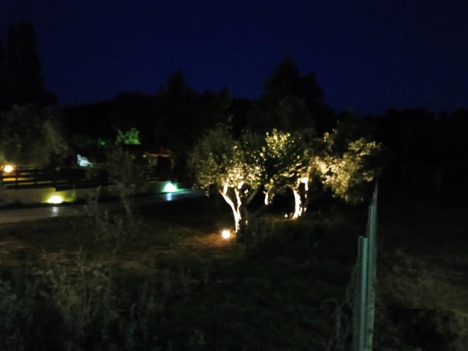 Night, Garden