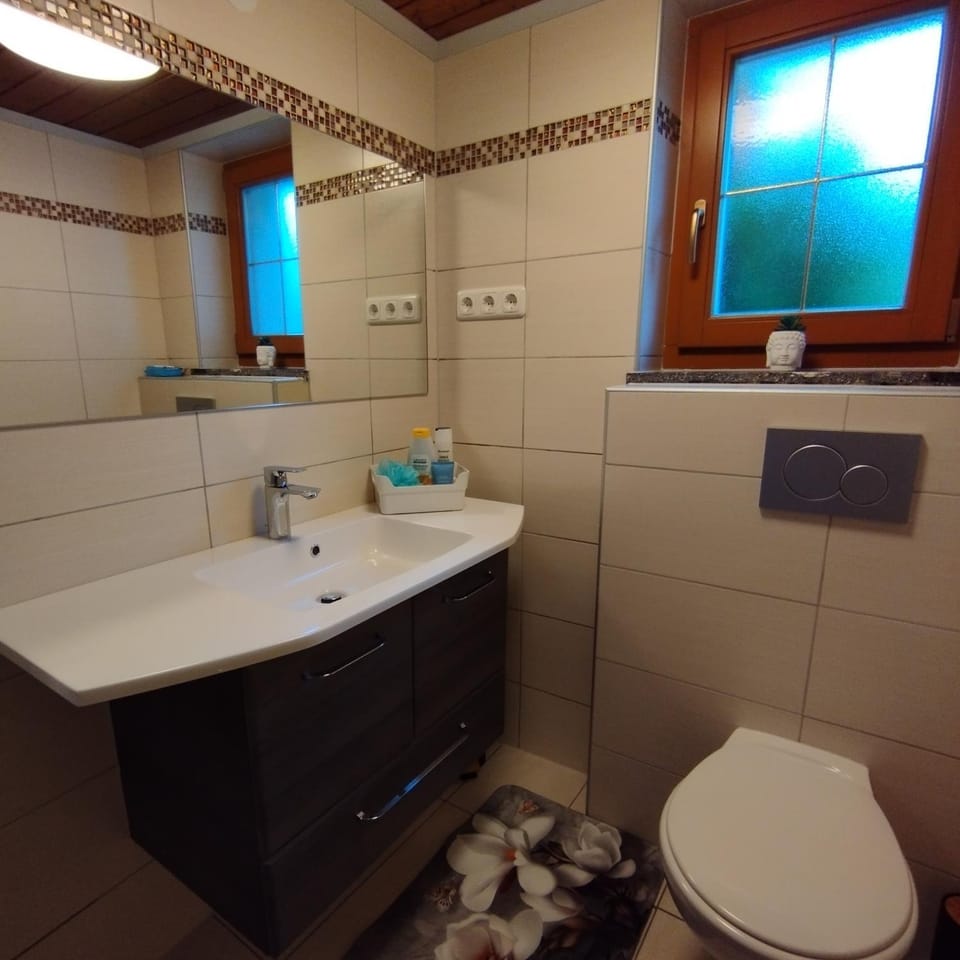 Shower, Toilet