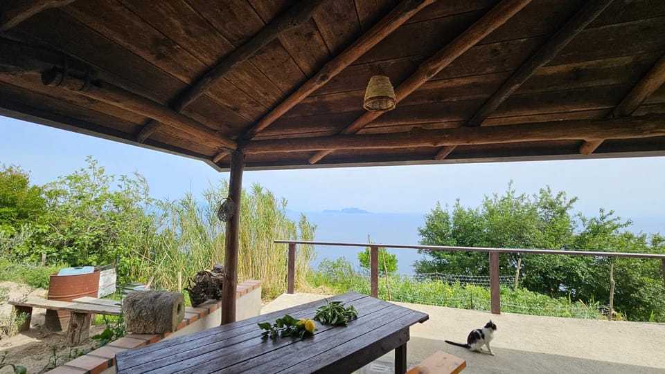 Natural landscape, View (from property/room), Balcony/Terrace, Sea view