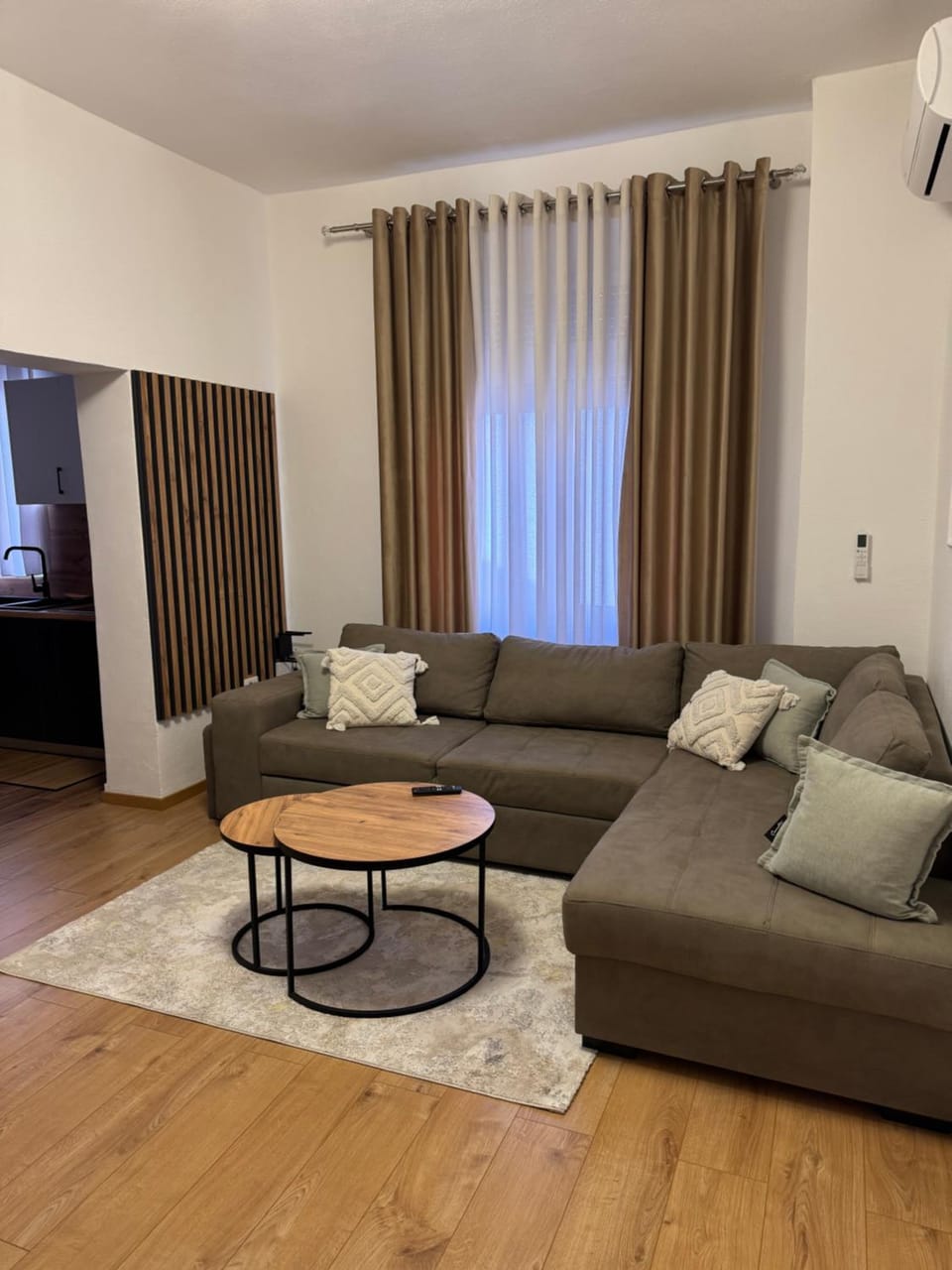 Living room, Photo of the whole room, air conditioner