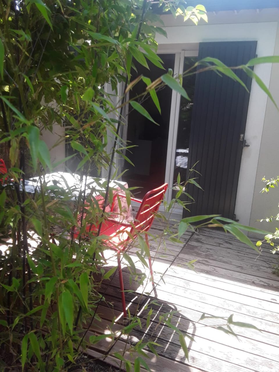 Patio, Garden, Dining area