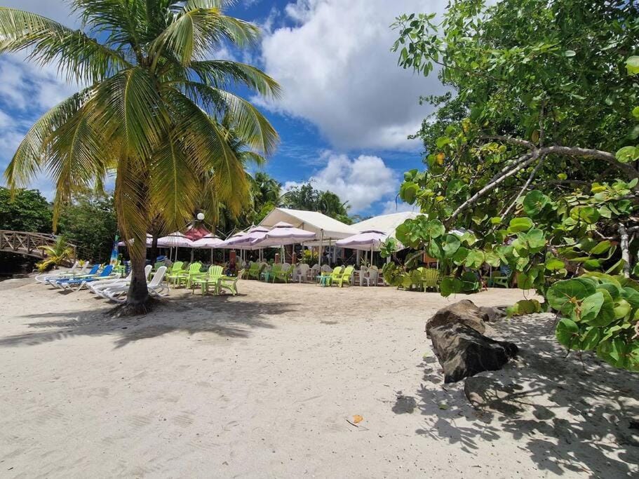 Natural landscape, Beach