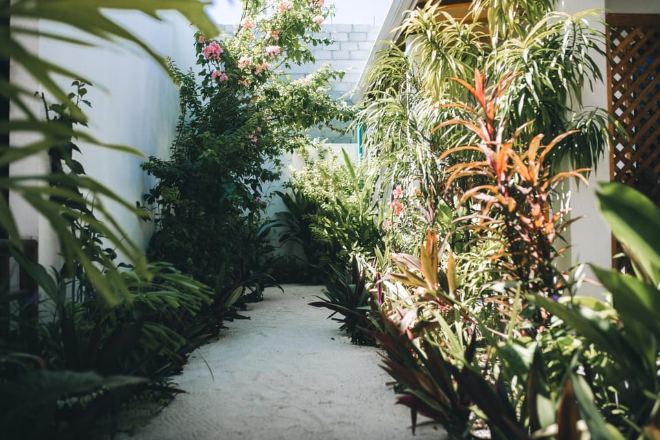 Garden, Garden view