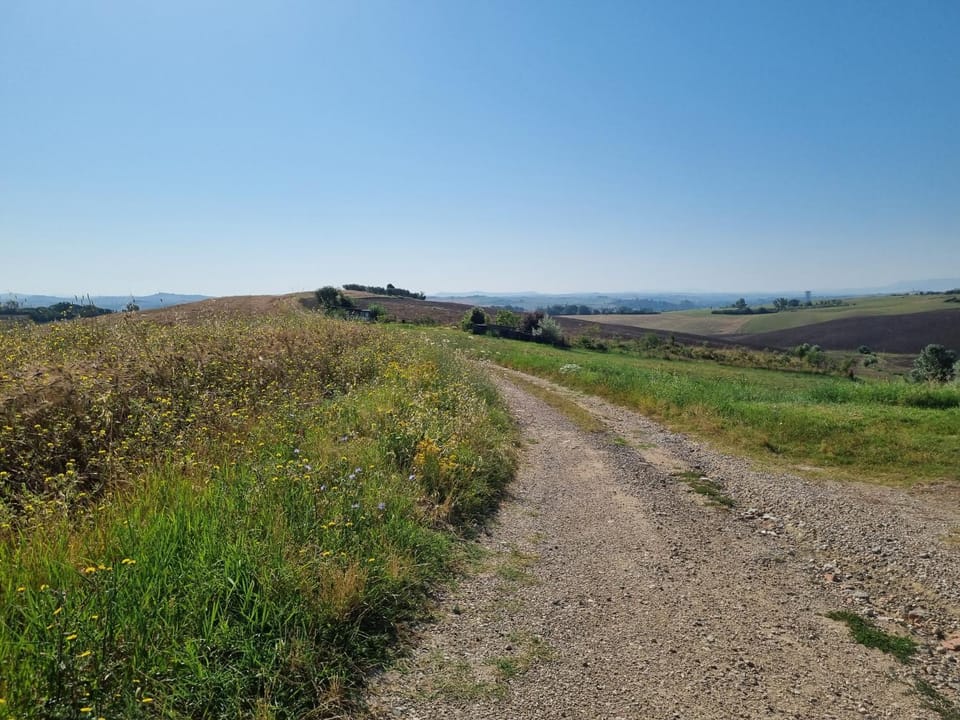 Day, Natural landscape