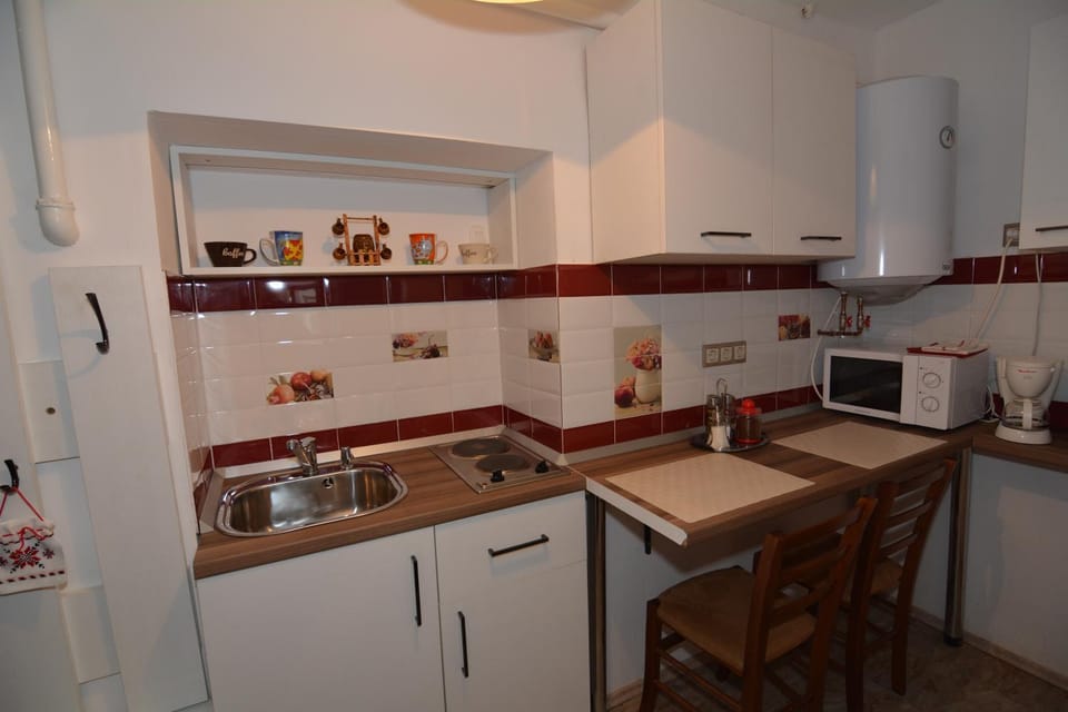 Apartament Supercentral Sibiu Apartment in Sibiu