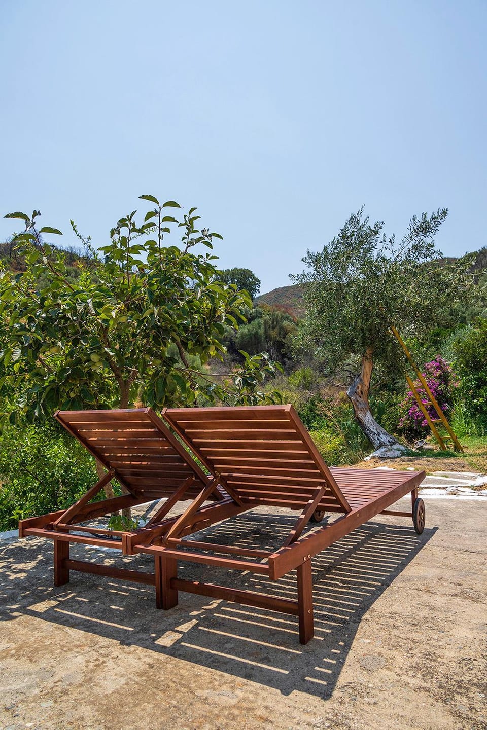 Day, Natural landscape, Garden, Garden view, sunbed