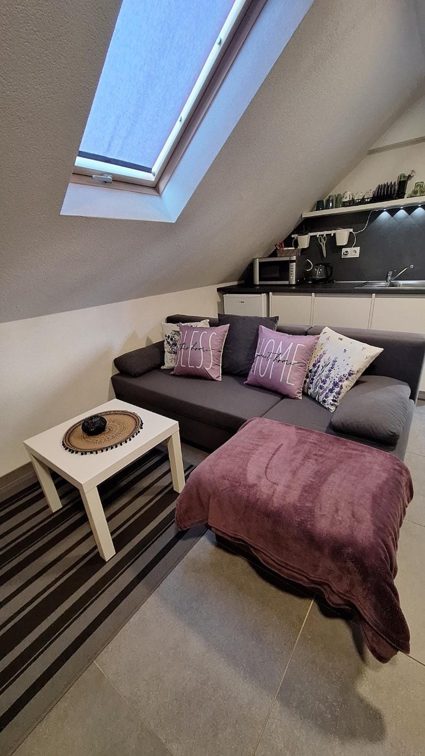 Apartman Lily Apartment in City of Zagreb