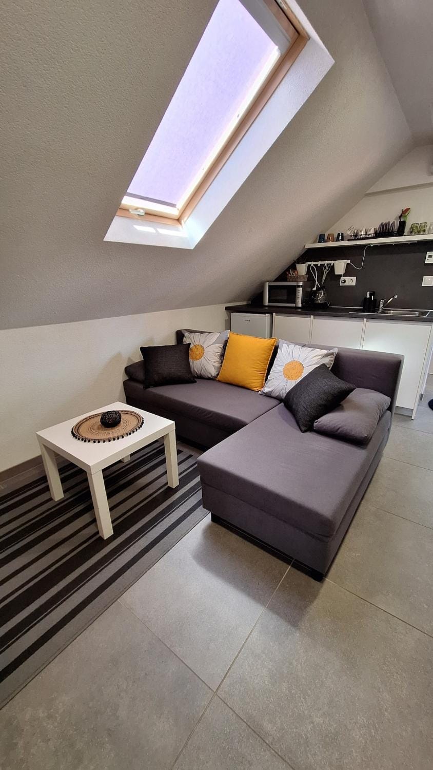 Apartman Lily Apartment in City of Zagreb