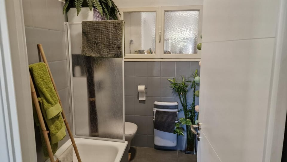 Toilet, Bathroom, towels