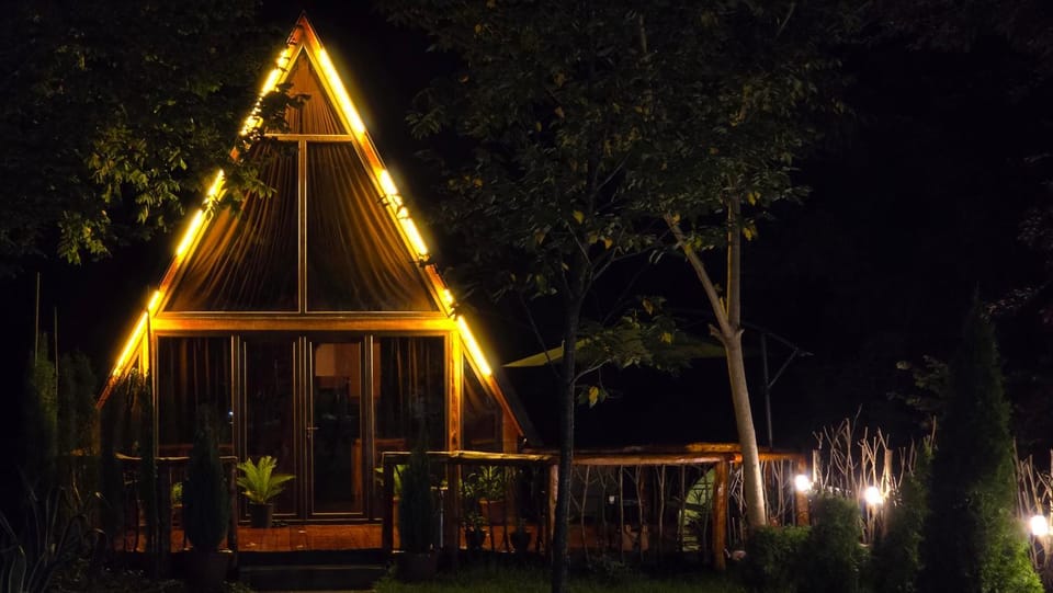 Property building, Night, Natural landscape, Garden view