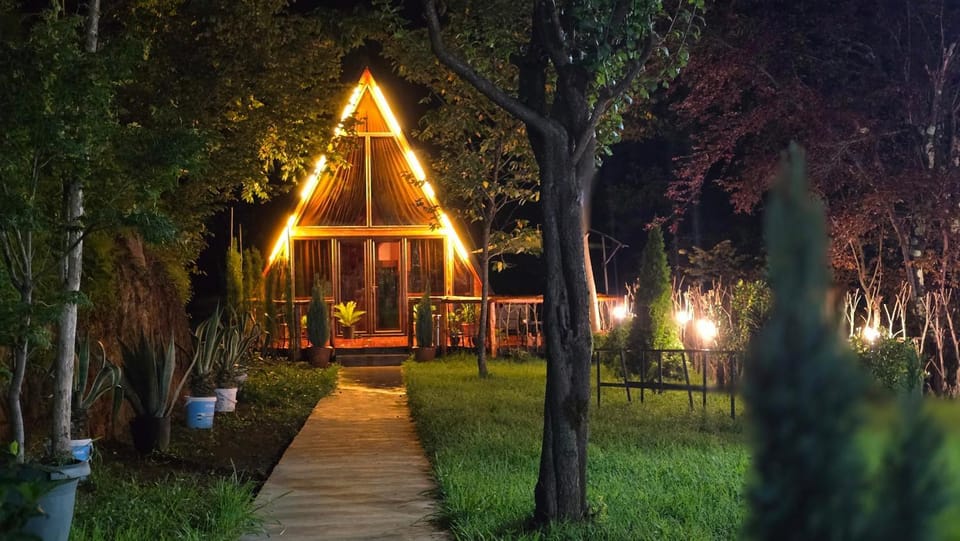 Property building, Night, Natural landscape, Garden