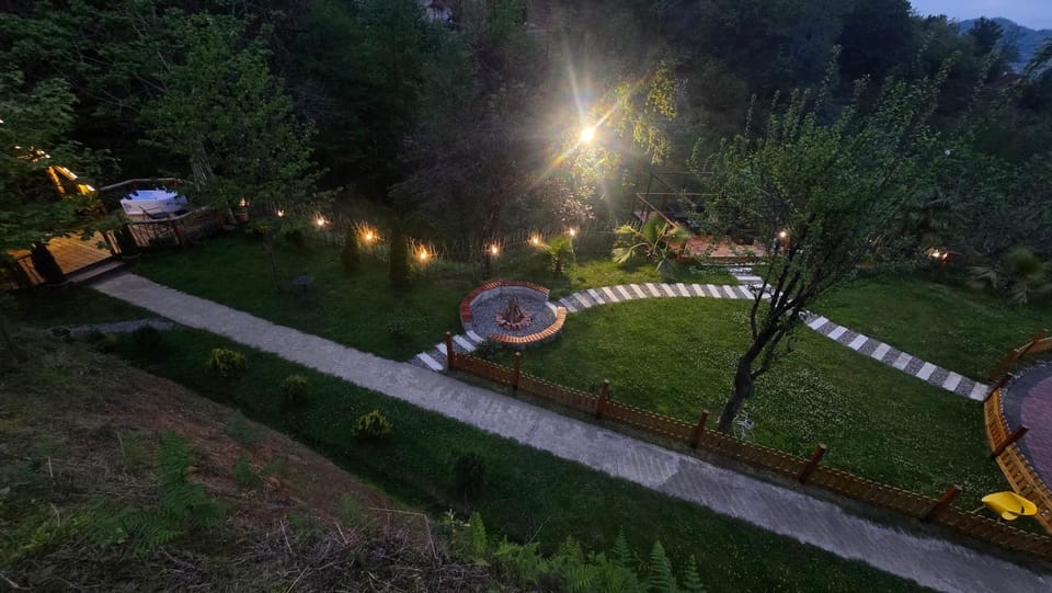 Spring, Night, Natural landscape, Garden, Garden view