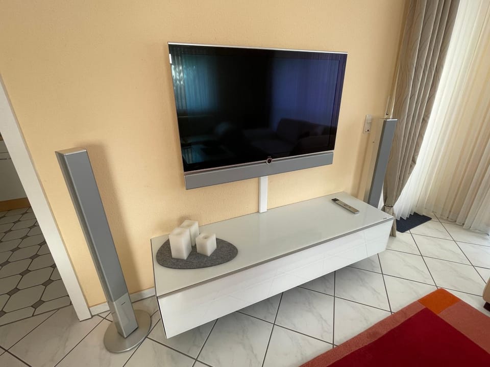 TV and multimedia