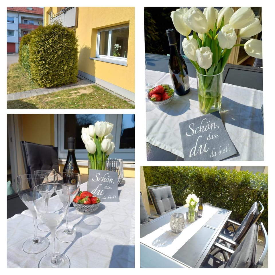 Patio, Garden