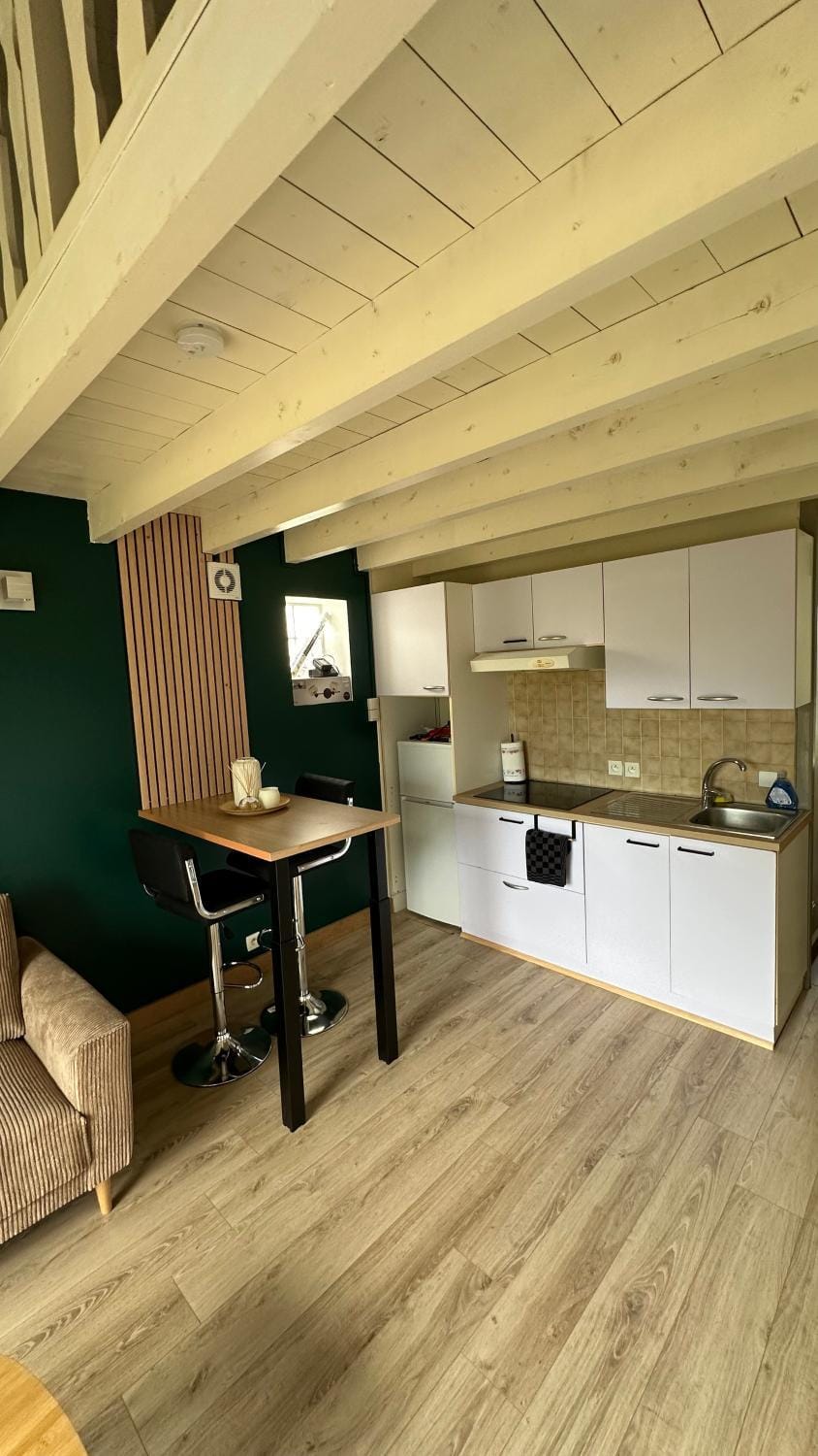 T1 bis Duplex 400m Plage Apartment in La Rochelle