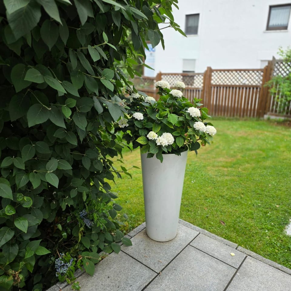 Property building, Garden view