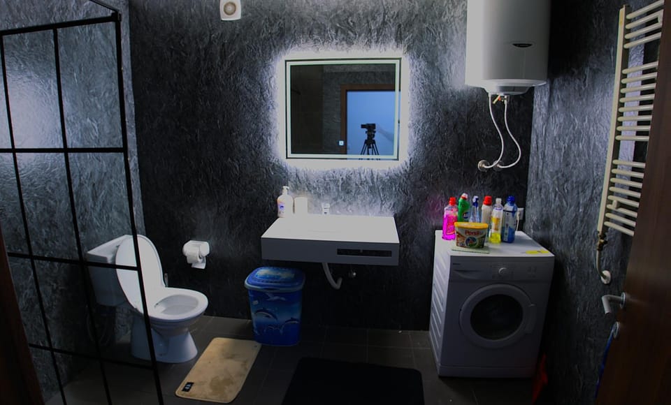 Toilet, Bathroom, washing machine