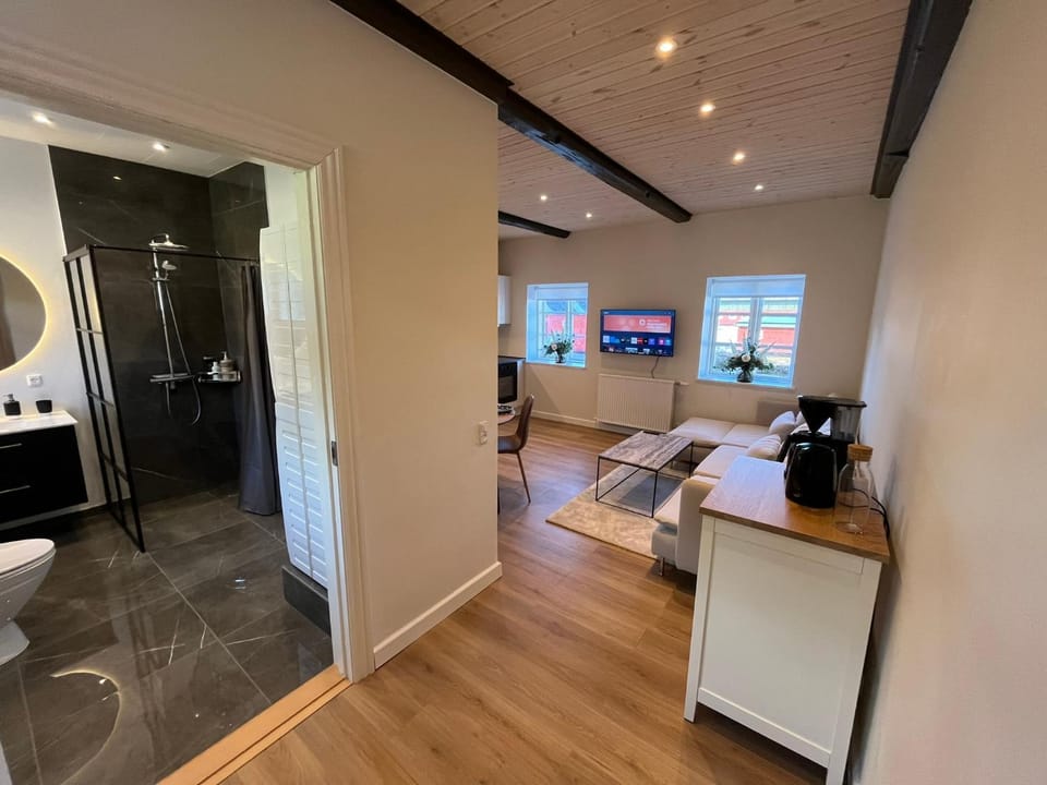 Luxurious apartment in Manor House Apartment in Central Denmark Region