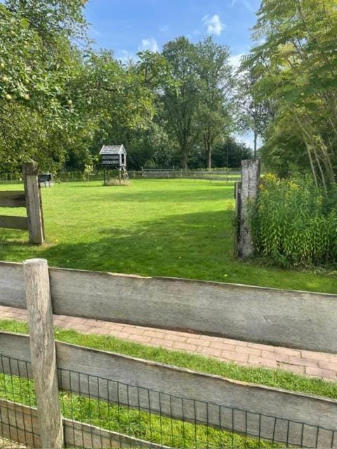 Day, Garden, Garden view