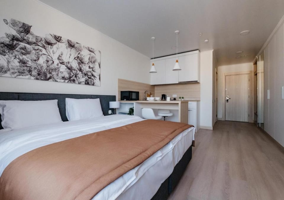 Bed, Kitchen or kitchenette, Photo of the whole room, Bedroom, minibar, oven, stove