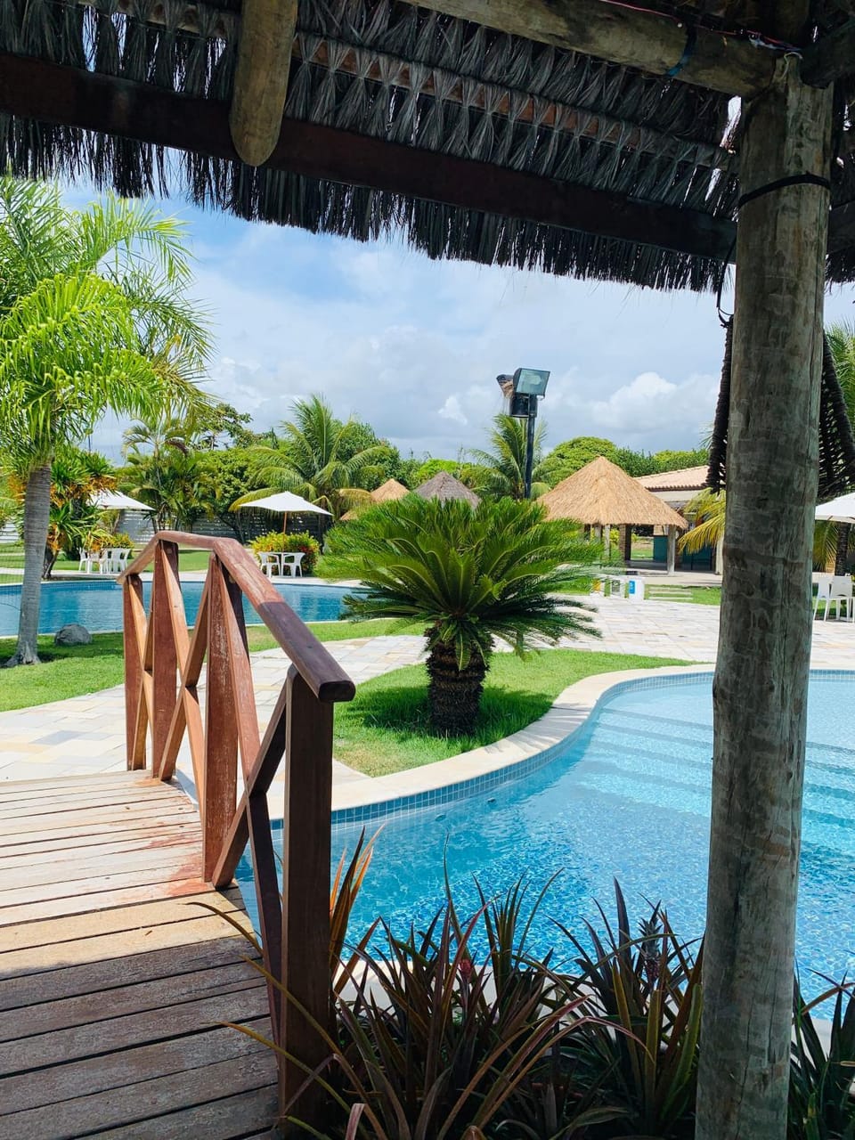 Garden, Swimming pool