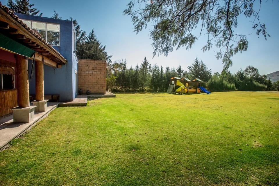 Day, Garden, Garden view