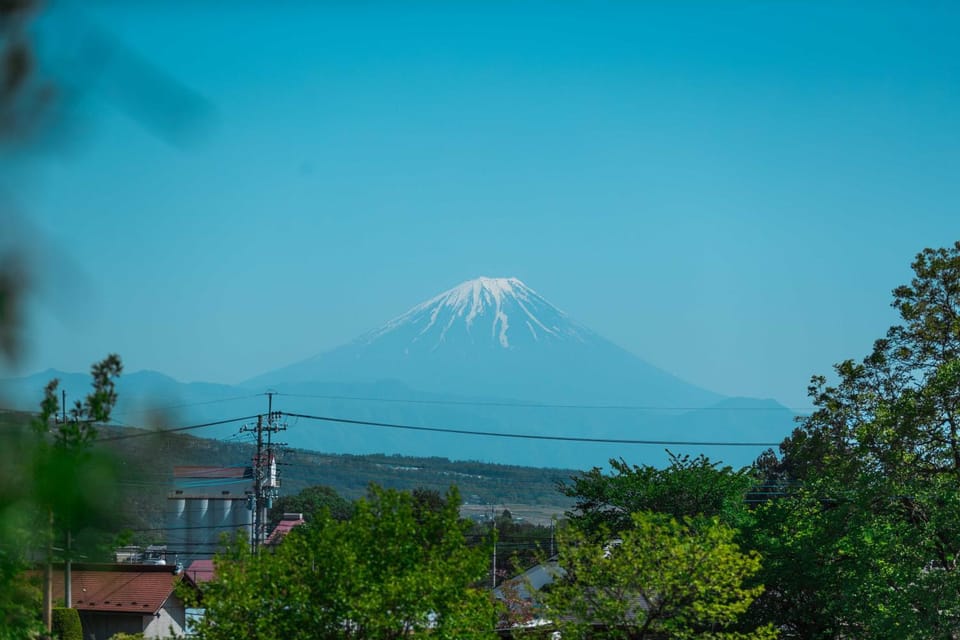 Mountain view