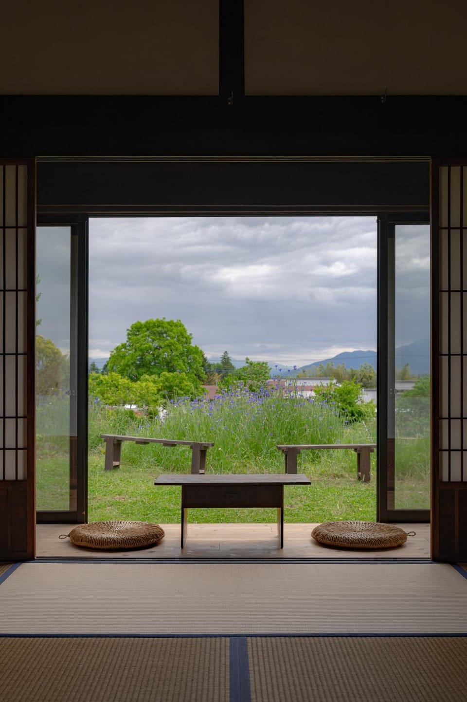 View (from property/room)
