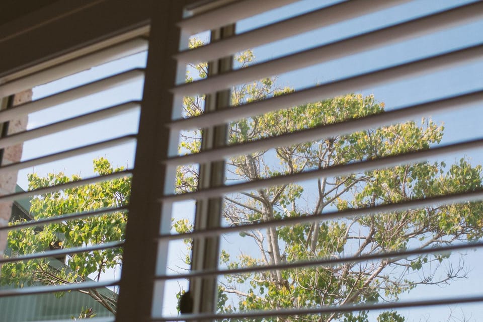 View (from property/room)