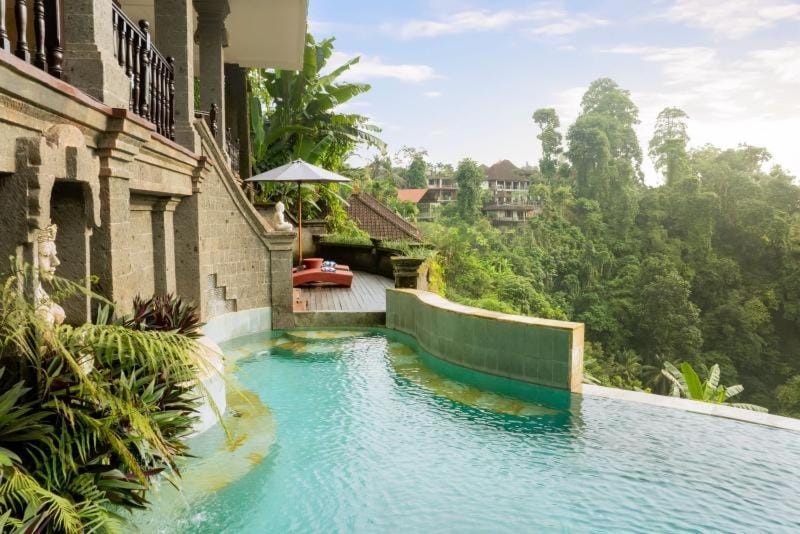 Day, Garden, Pool view, Swimming pool