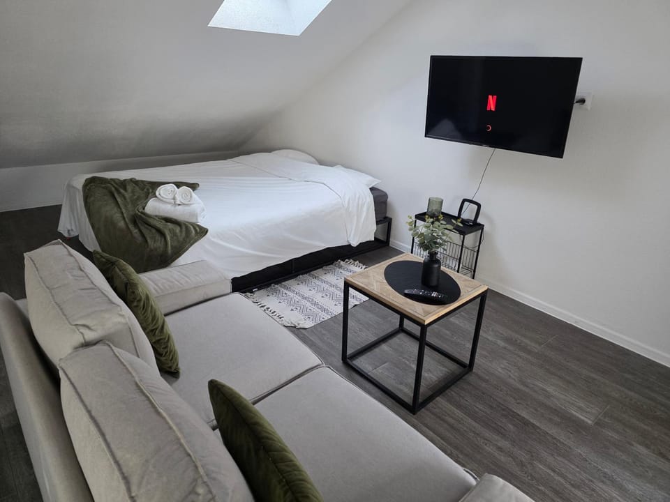 "Eucalyptus " Centre ville, stationnement gratuit et proche tram Apartment in Mulhouse