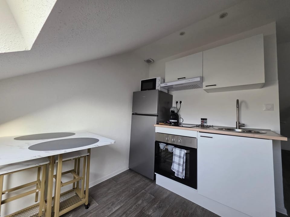 "Eucalyptus " Centre ville, stationnement gratuit et proche tram Apartment in Mulhouse
