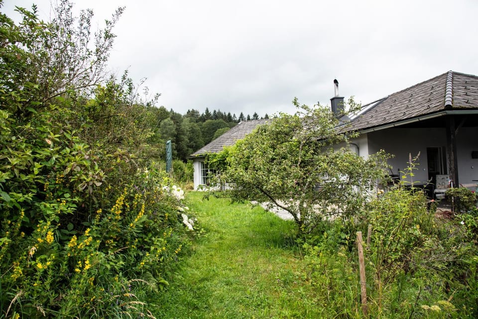 Natural landscape