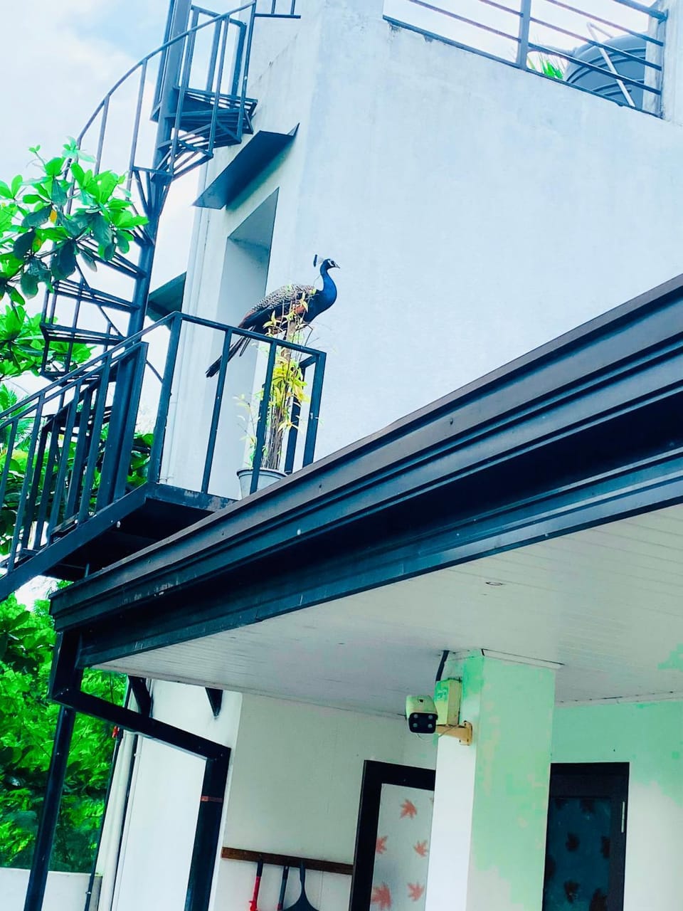 Premium Cottages B&B Bed and Breakfast in Sri Lanka