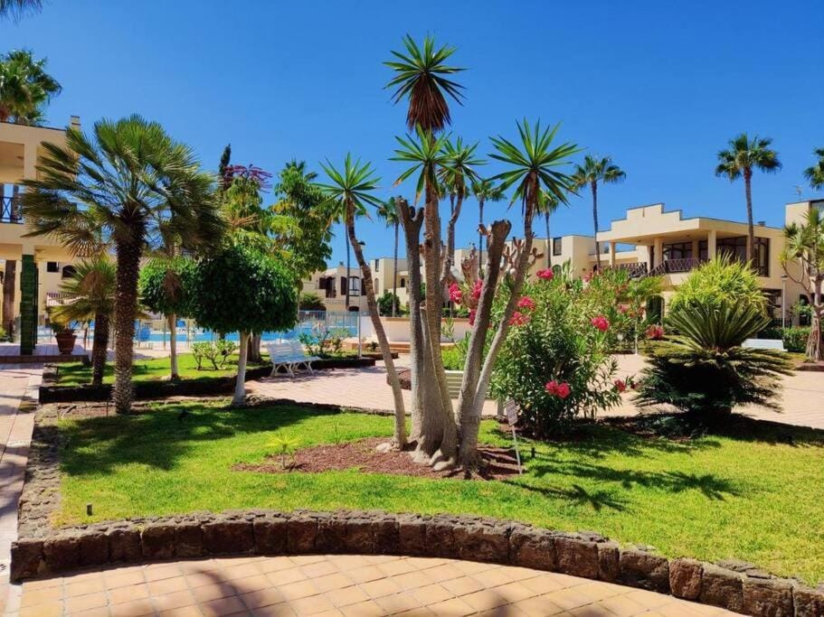 Day, Garden, Garden view, Pool view, Swimming pool
