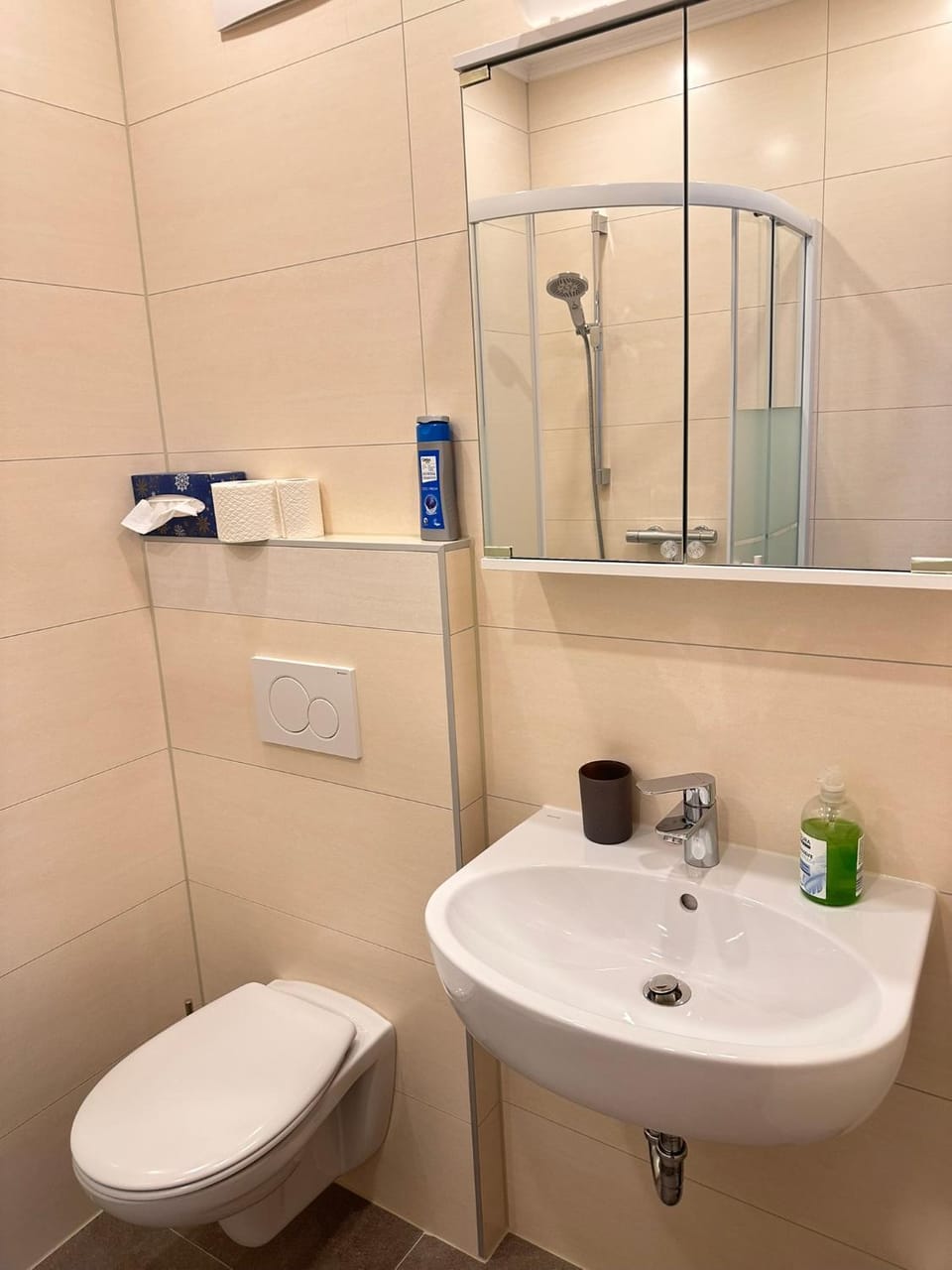 Toilet, Bathroom