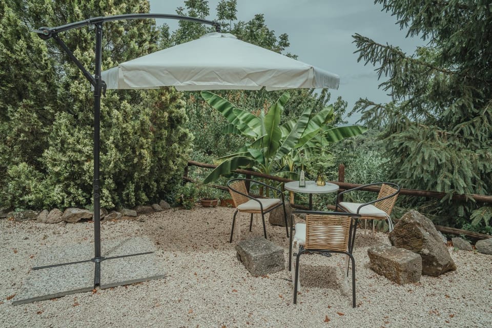 Patio, Spring, Garden, Garden, Dining area, Garden view