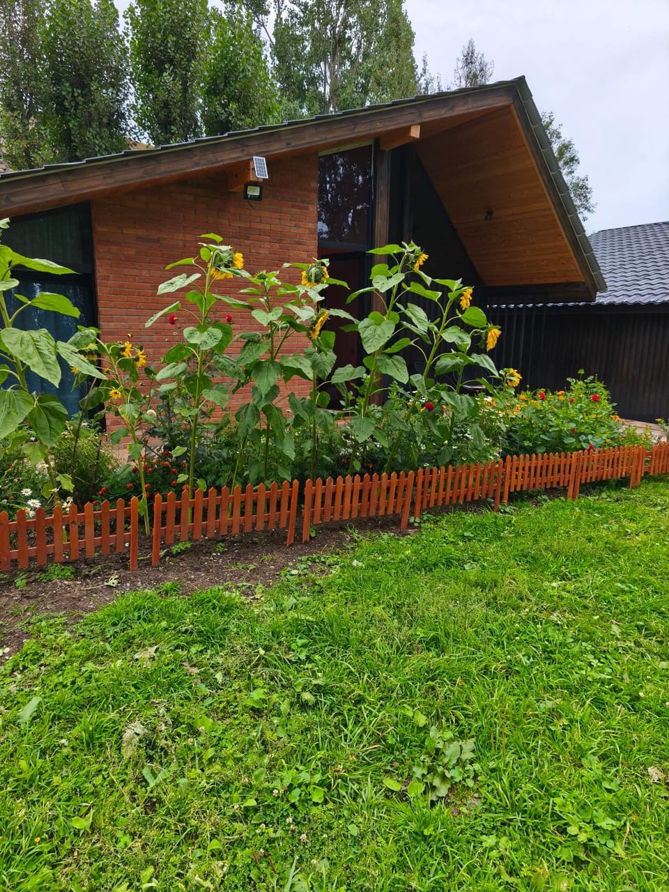 Cozy Wooden House near Gudauri Apartment in Georgia