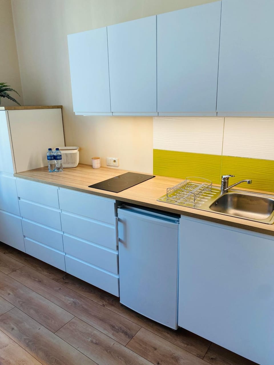 Kitchen or kitchenette, dishwasher, stove