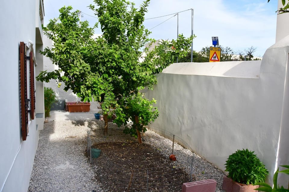 Garden, Garden, Balcony/Terrace