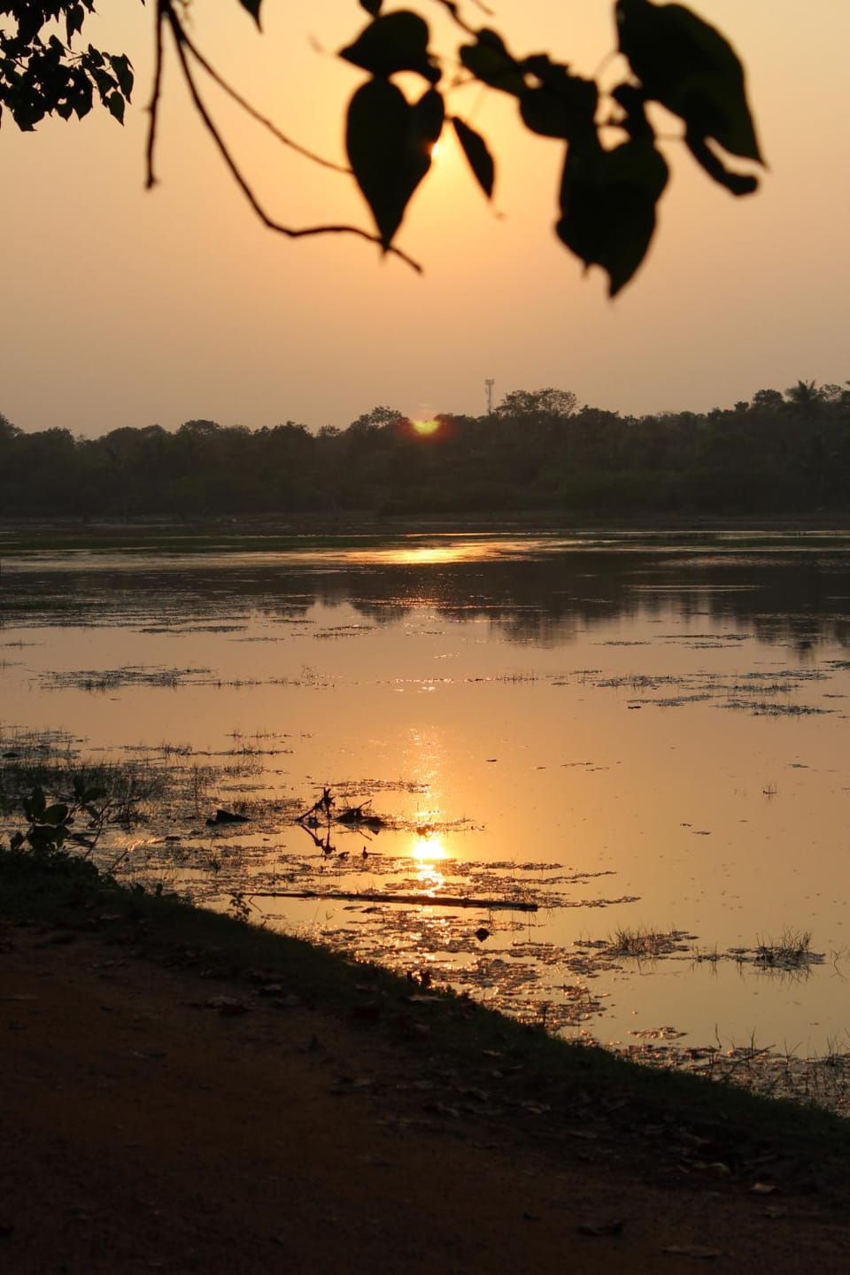 Fishermens Lodge & Restaurant Nature lodge in Southern Province