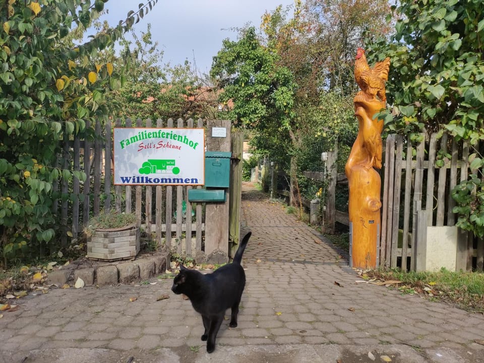 Property building, Dining area, Animals, Area and facilities