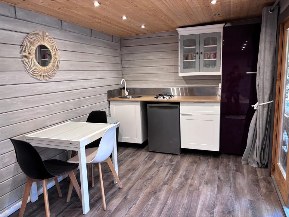 Kitchen or kitchenette, Dining area, minibar, pet friendly, stove