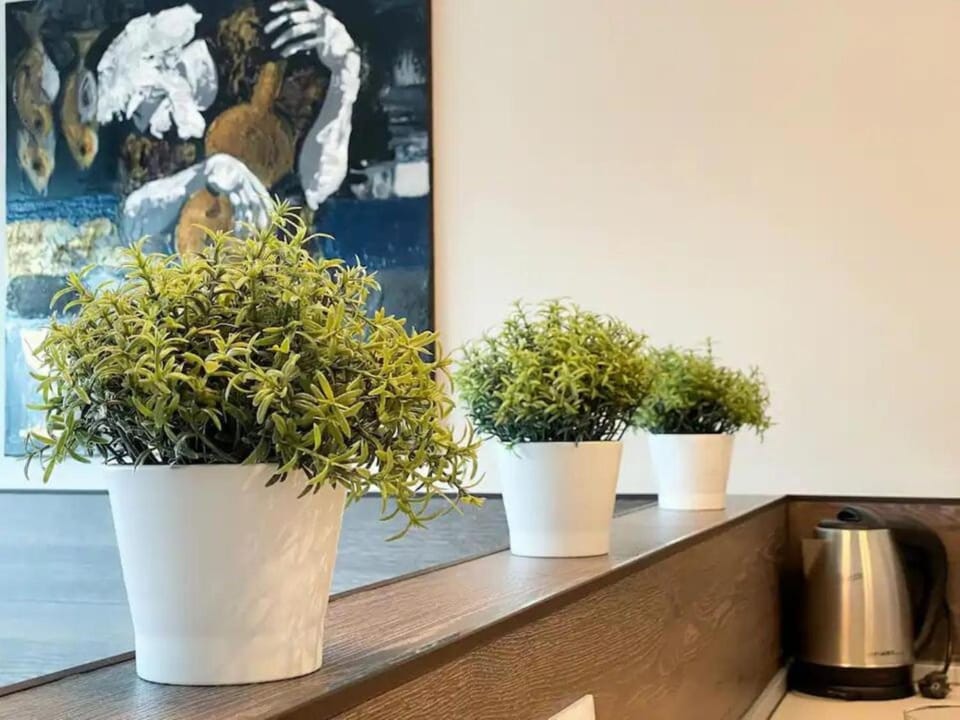 Coffee/tea facilities, Living room, Decorative detail, Bedroom